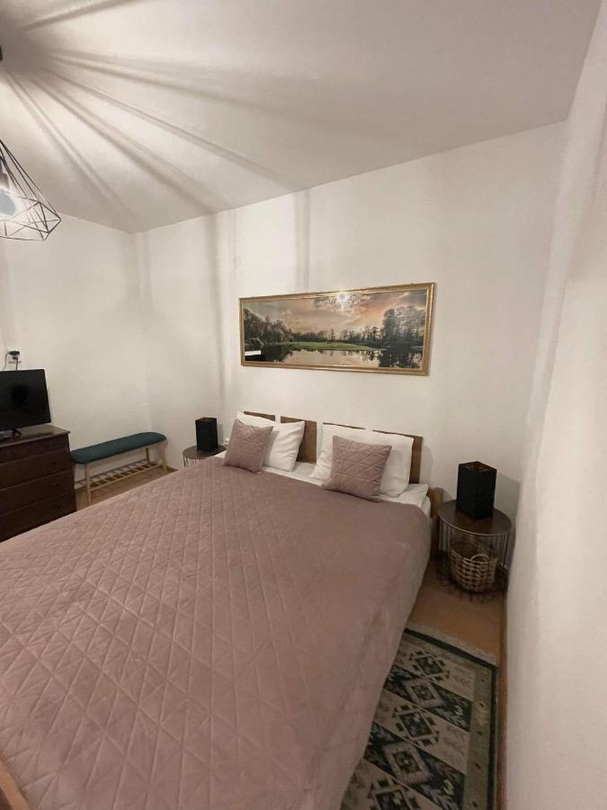 Cm Studio Apartment Sighisoara Ngoại thất bức ảnh