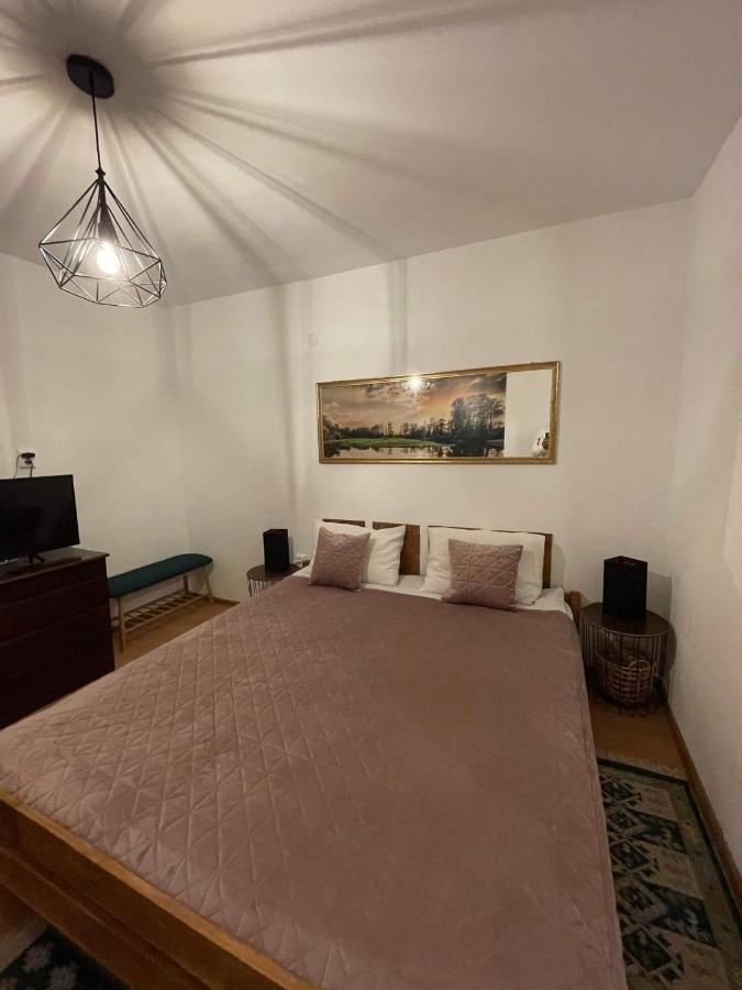 Cm Studio Apartment Sighisoara Ngoại thất bức ảnh