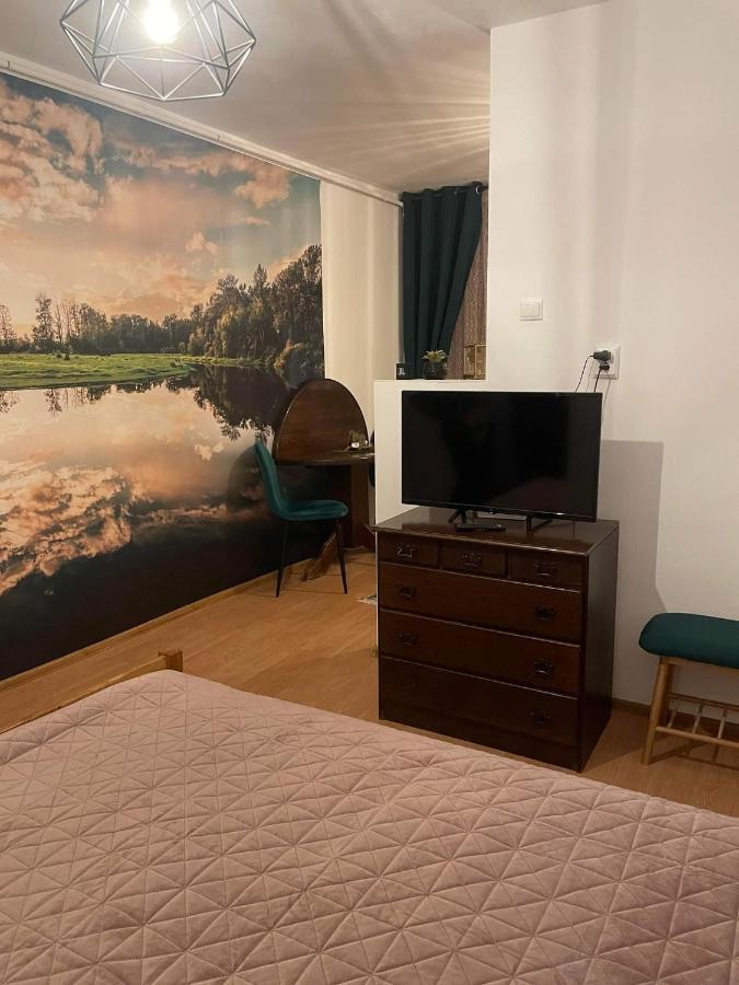 Cm Studio Apartment Sighisoara Ngoại thất bức ảnh